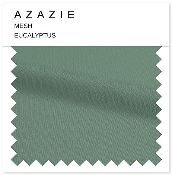 image Eucalyptus